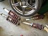 Factory MSM Struts and Springs-img_1217.jpg