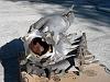 FS: Squaretop EUDM intake manifold-img_20130709_181041.jpg