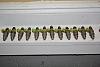 injectors, t3 1.8 manifold, 99 valve cover-dsc_0072.jpg