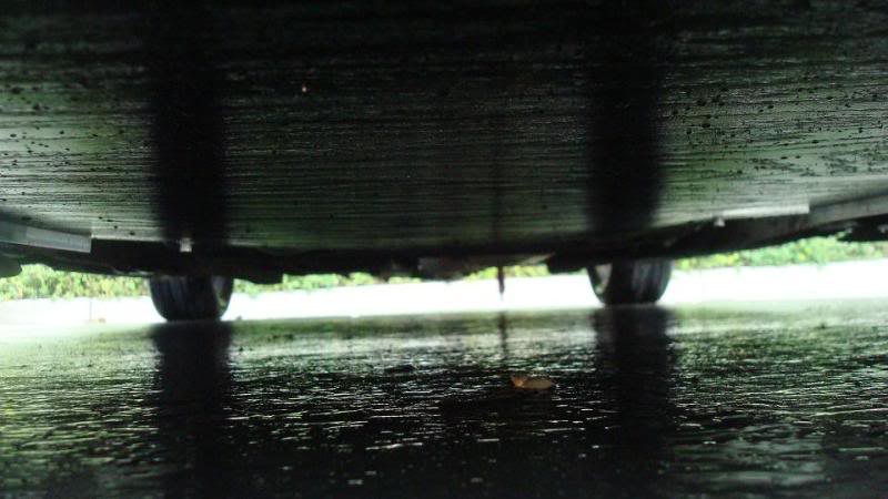 Name:  DSC01601.jpg
Views: 980
Size:  67.0 KB