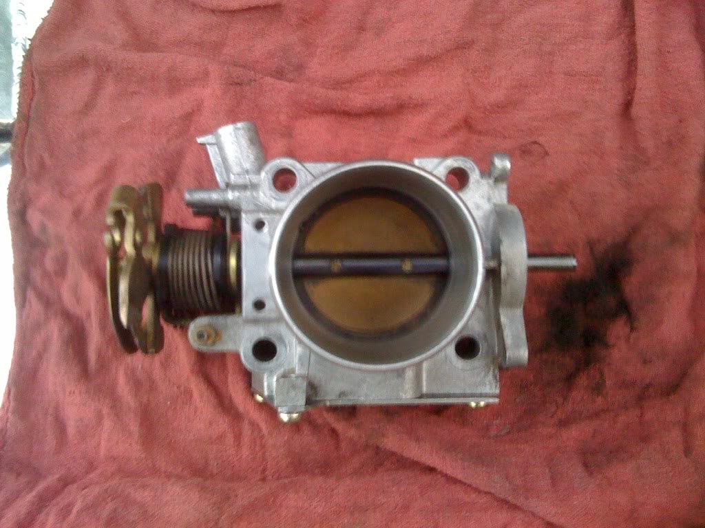 Name:  TBpictures001.jpg
Views: 1864
Size:  121.6 KB