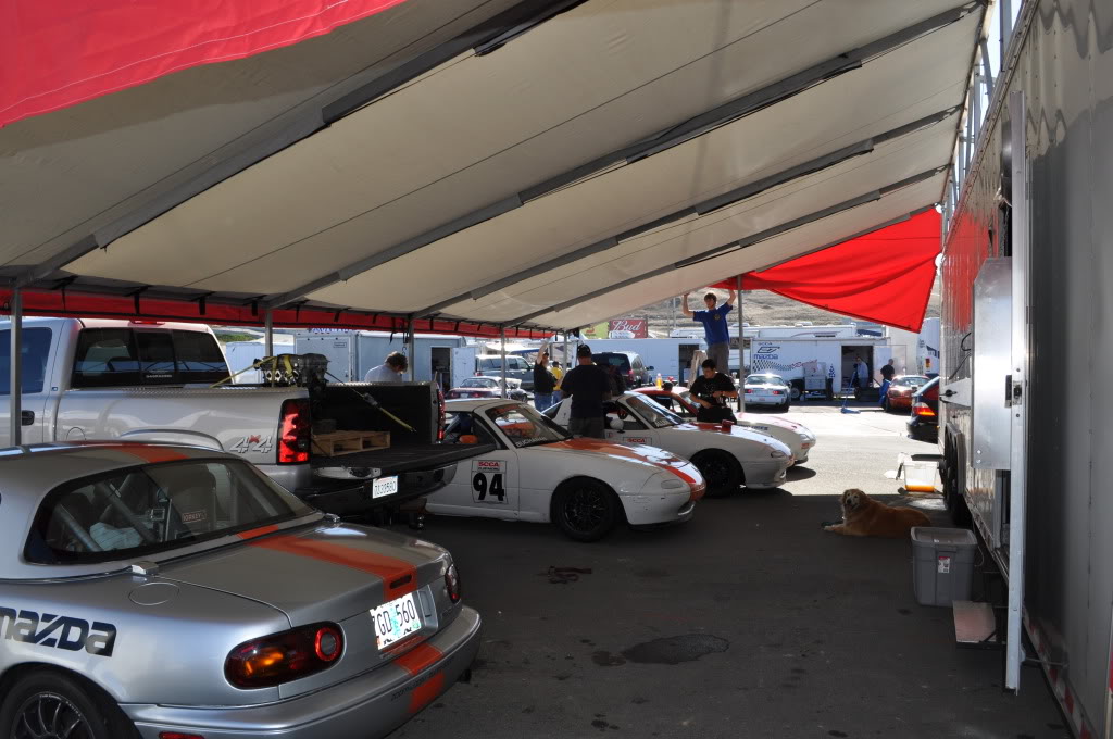 Name:  DSC_0771.jpg
Views: 583
Size:  149.9 KB