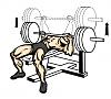 got the new rad and reroute done tonight.-bench_press.jpg