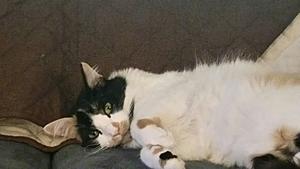 Noob, Rotrex SC options-20171115_202919.jpg