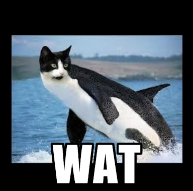 Name:  oLJ7SHe.png
Views: 38
Size:  148.7 KB