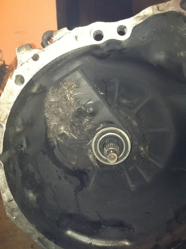 Name:  poorBigGulp003.jpg
Views: 178
Size:  68.8 KB