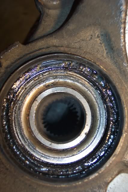 Name:  100_2756.jpg
Views: 1046
Size:  63.9 KB