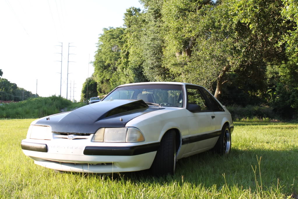 Name:  mustangphotoshootandcarmeet010-1.jpg
Views: 1886
Size:  235.7 KB