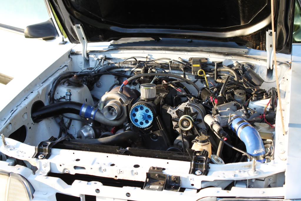 Name:  mustangphotoshootandcarmeet047.jpg
Views: 1964
Size:  179.9 KB