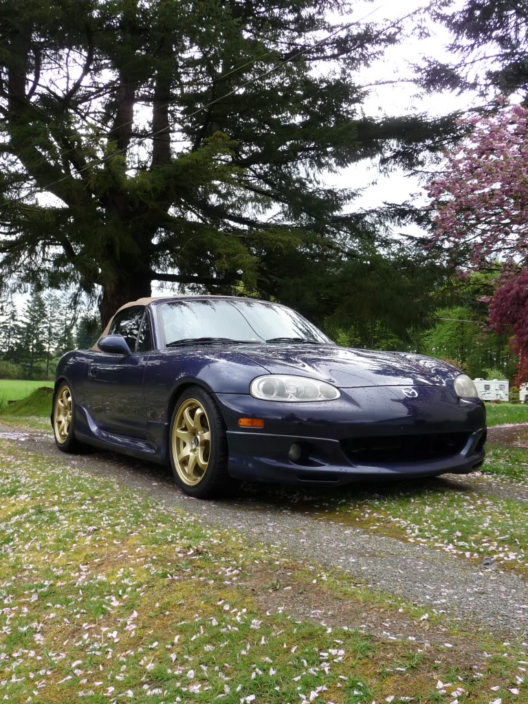 Name:  P1000642.jpg
Views: 140
Size:  309.1 KB