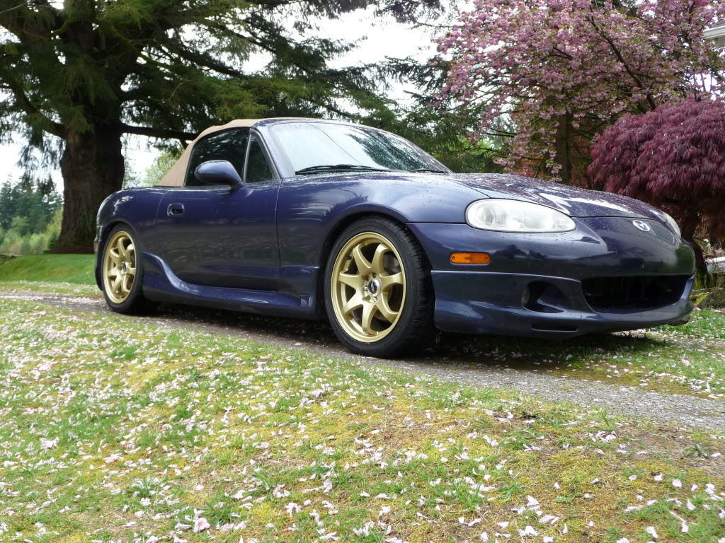 Name:  P1000640.jpg
Views: 111
Size:  317.9 KB