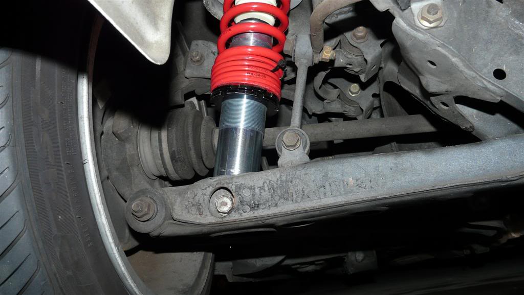 Name:  P1040895Large.jpg
Views: 165
Size:  72.2 KB