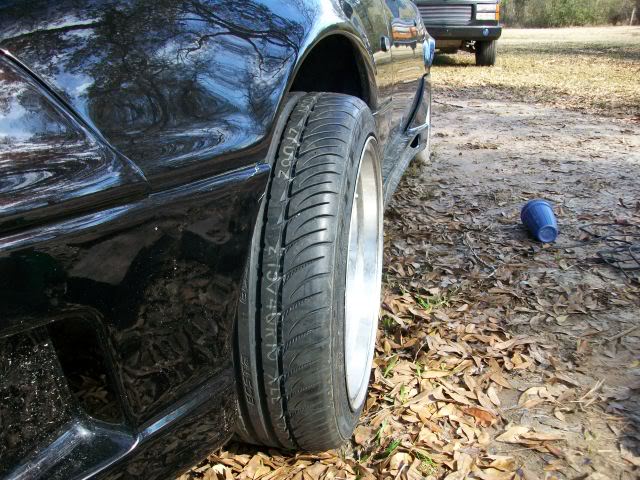 Name:  100_0417.jpg
Views: 46
Size:  122.4 KB