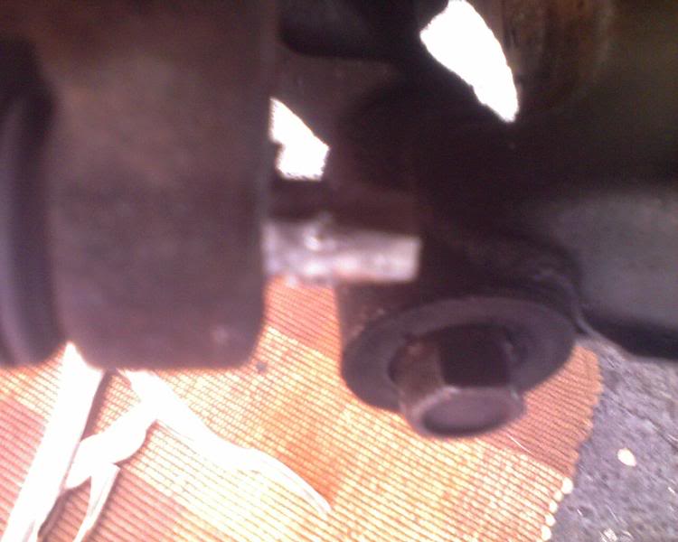 Name:  Photo_080209_001.jpg
Views: 56
Size:  44.0 KB