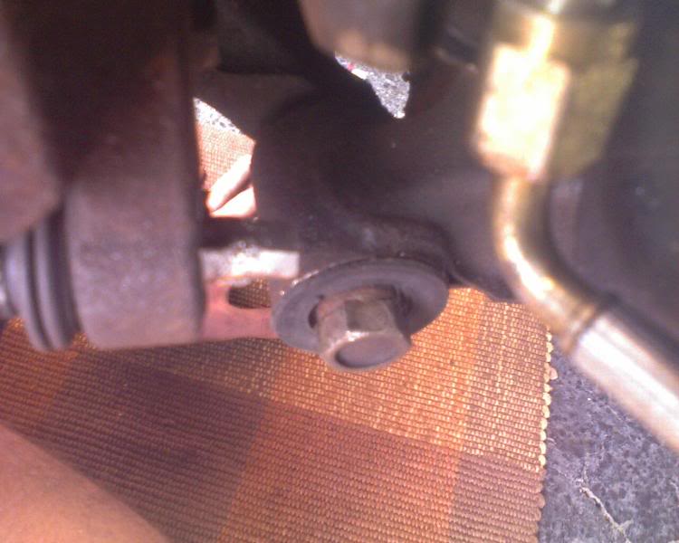 Name:  Photo_080209_003.jpg
Views: 60
Size:  49.8 KB