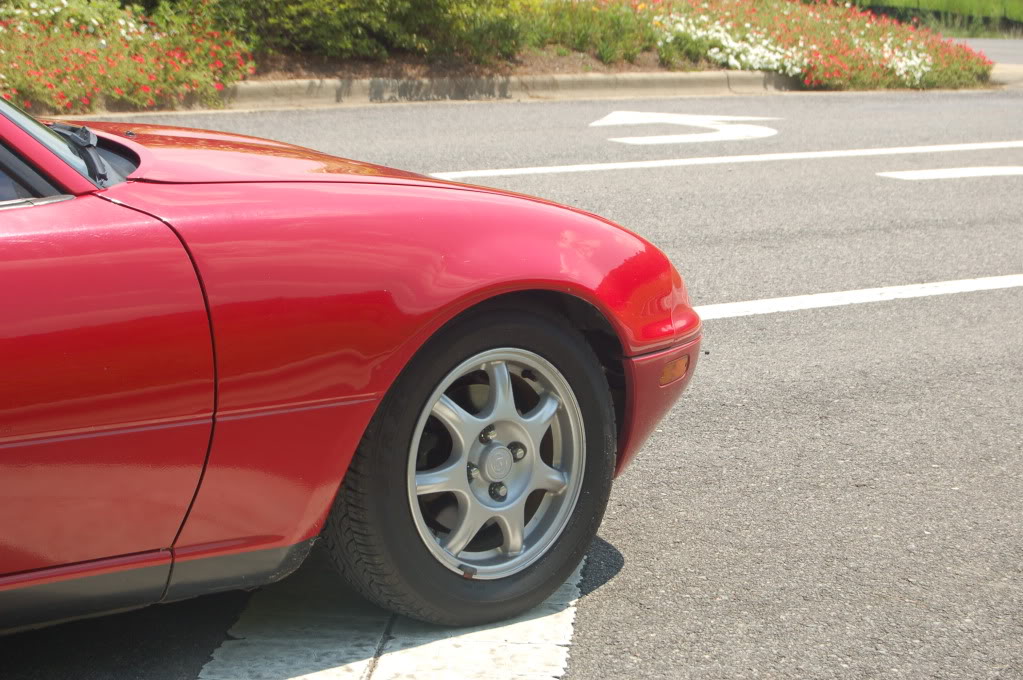 Name:  DSC_0031.jpg
Views: 109
Size:  168.3 KB