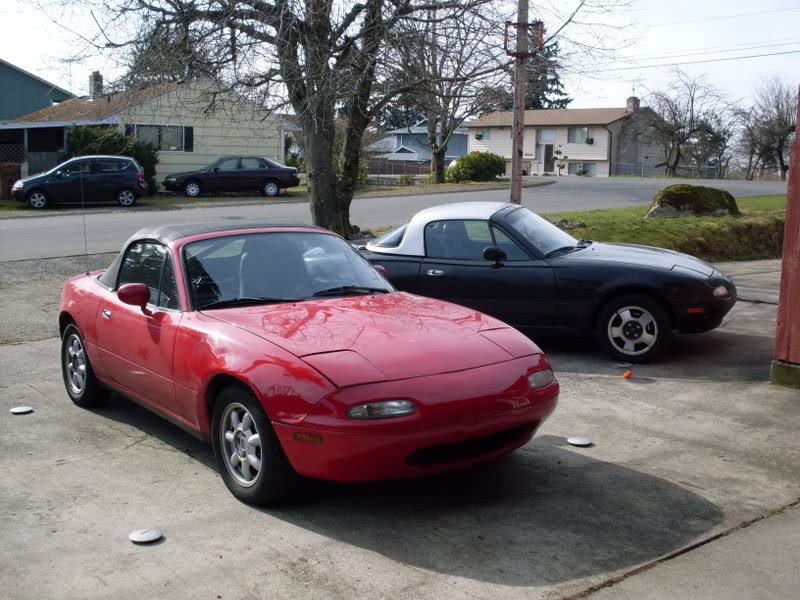 Name:  SDC10008.jpg
Views: 586
Size:  129.1 KB