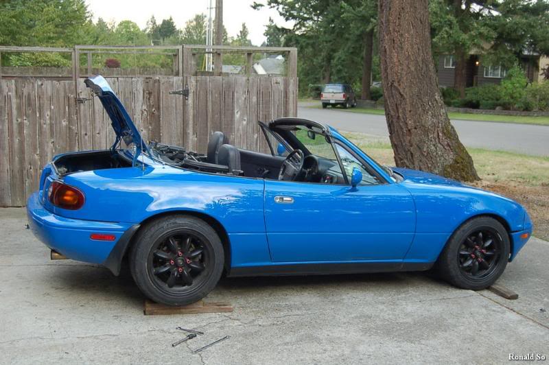 Name:  Laborday015.jpg
Views: 521
Size:  104.6 KB