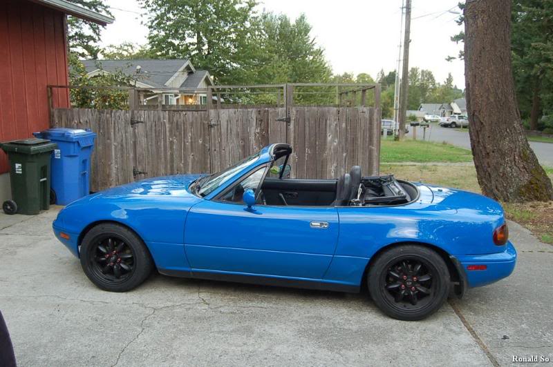 Name:  Laborday018.jpg
Views: 530
Size:  106.0 KB