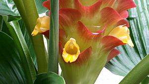 Fd3s transmission and other questions-20180528_133411.jpg