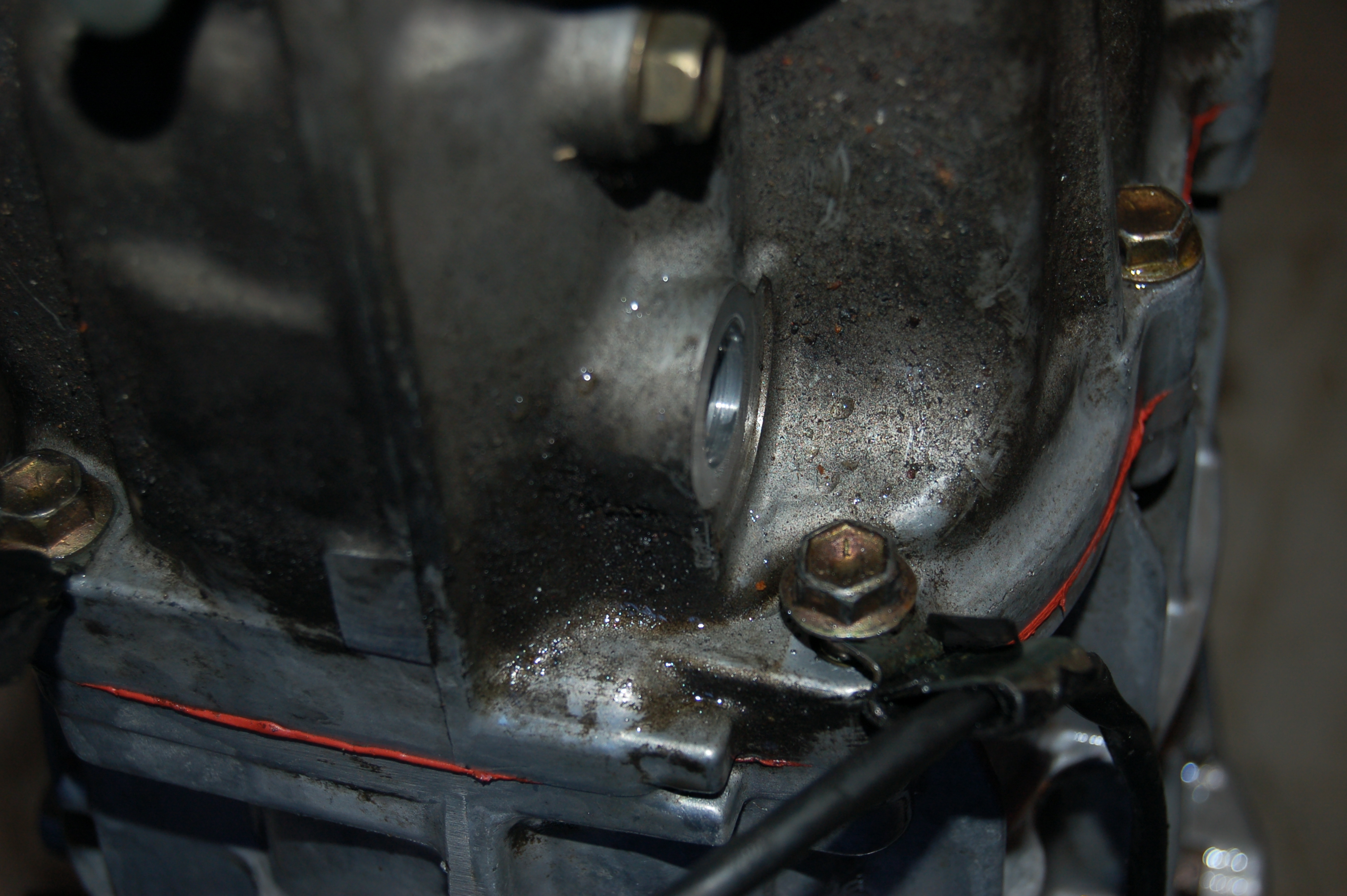 Name:  qxWpbvK.jpg
Views: 394
Size:  2.30 MB