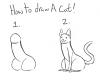 My review of Riceland coilovers-how-draw-cat.-its-very-simple-if-you_951b95_3402285.jpg