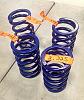 Rates of some ebay 'no-name' springs-blue.jpg