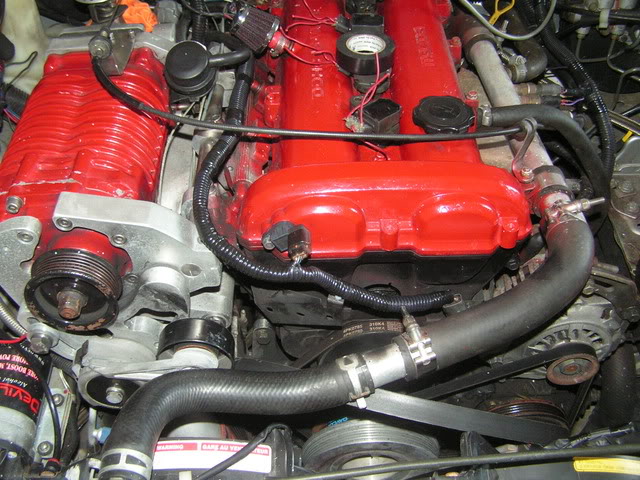 Name:  7hrslater3.jpg
Views: 1836
Size:  146.6 KB