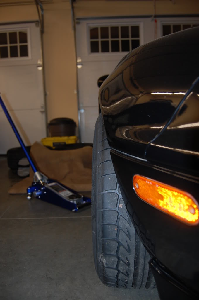 Name:  DSC_0622-1.jpg
Views: 996
Size:  72.3 KB