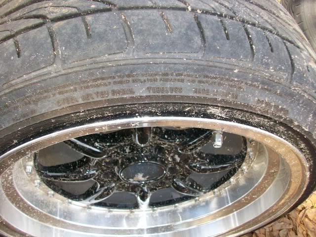 Name:  100_0409.jpg
Views: 101
Size:  133.7 KB