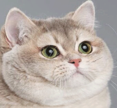 Name:  LuycVAs.gif
Views: 250
Size:  3.59 MB